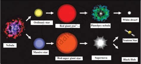 Stars 的图像结果