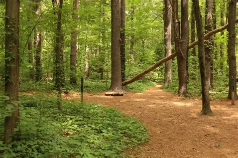 openplots | GIO Realty