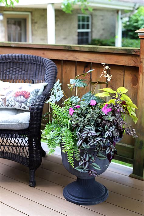 Shade Patio Container Garden Ideas