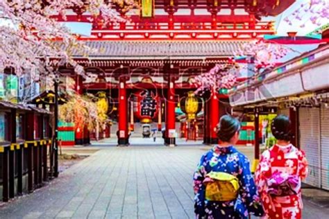 Kimono Tokyo Tour 2024 - Viator