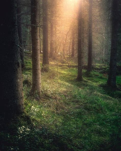 《挪威的森林》——导读 - 知乎