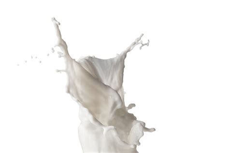 Milk Processing Steps 的图像结果