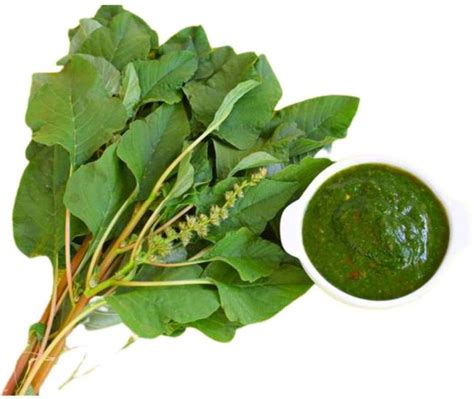 VibeX ® VLR-641 (Green Amaranthus)Cholai Saag Seed Price in India - Buy ...