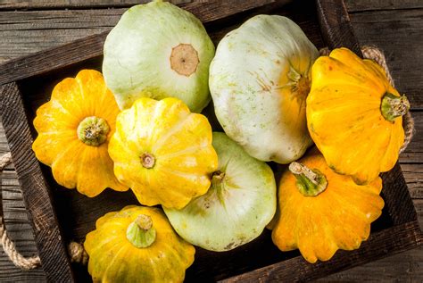 Green Squash Varieties at Alejandro Harden blog