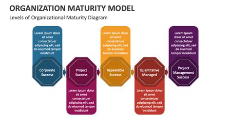 Image result for Learning Organization Maturity Model
