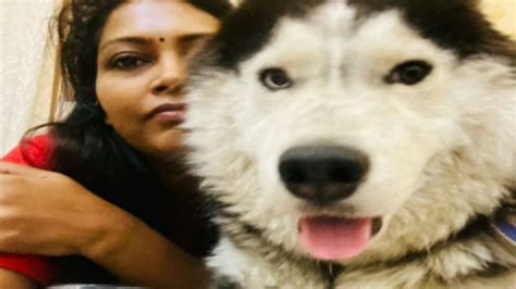 'My Dog Wasn't Stolen': Meerut Police Commissioner Dismisses Reports Of ...