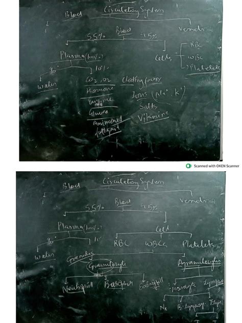 Circulation Class 12 的图像结果