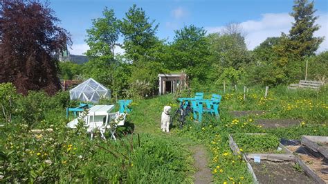 Squash Sunday, Lillegårdsbakken 16, 7013 Trondheim, Norway, 26 May 2024 ...