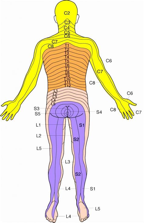 Image result for Picture of Compute Coding System