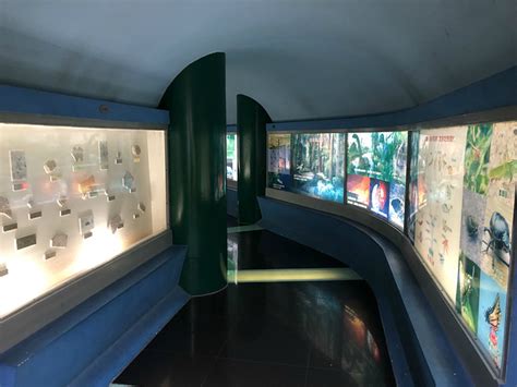 周尧昆虫博物馆常设展 - 每日环球展览 - iMuseum