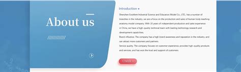 Company Overview - Shenzhen Zhuoyue Industrial Science And Education ...