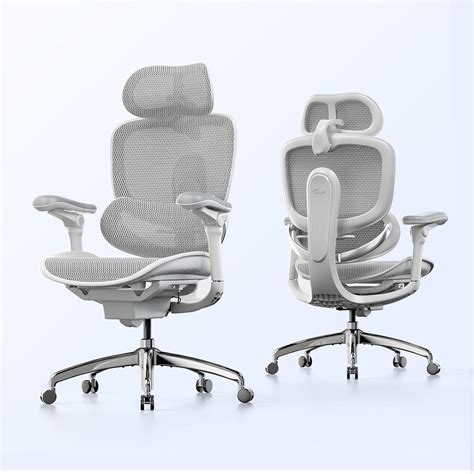 Amazon.com: SIHOO Doro C300 Pro V2 Ergonomic Office Chair, Full-Body ...