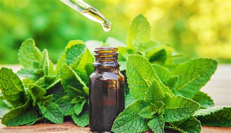 Some Therapeutic Essential Oils That Can Help Address Common Skin ...