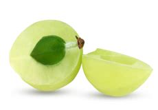 Himalaya Septilin Gummies – Himalaya Wellness (India)