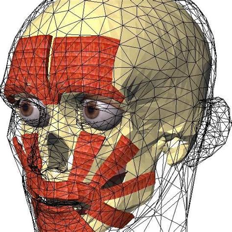 Muscle Head Model Computer Graphics Simulation 的图像结果