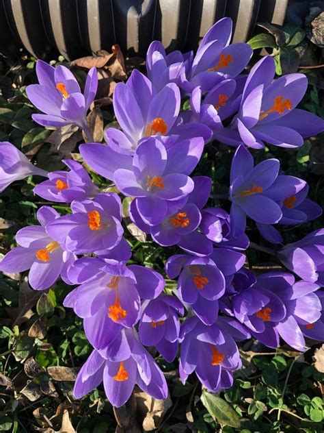 Transition Journeys for Spiritual Directors and Clergy, Pathways ...