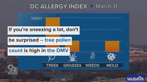 Tree pollen count is high in DC region, affecting allergies | wusa9.com