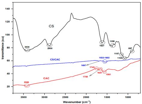 Enhancement of Trihalomethane Adsorption Capacity Using Chitosan ...