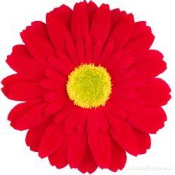 M S Traders - Trader - Retailer of Artificial Flower & Artificial ...