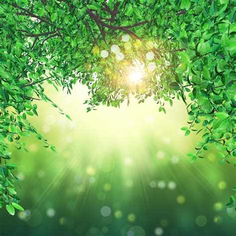 Beautiful Environment High Resolution 的图像结果