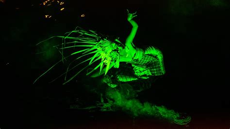 Vector Poleng 的图像结果