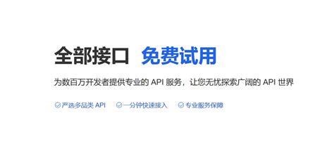 API Connection Process 的图像结果