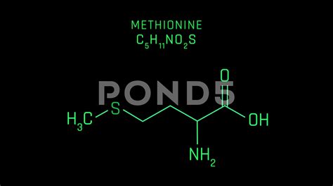 Methionine Structure