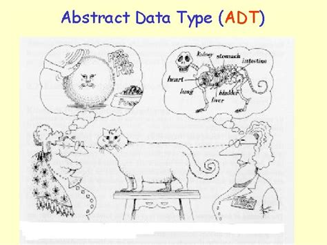 ADT Abstract Data Type 的图像结果