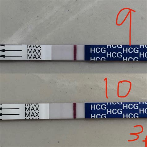 Pregmate hpt 10 dpo and trigger. Update from yesterday’s post. Both ...