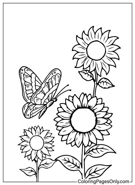 70+ Sunflower Coloring Pages - Free Printable PDF, JPG, PNG & Online ...