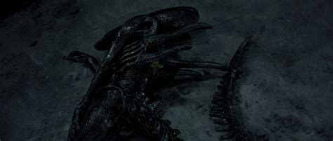 Image result for Alien vs Predator 2004 Scenes