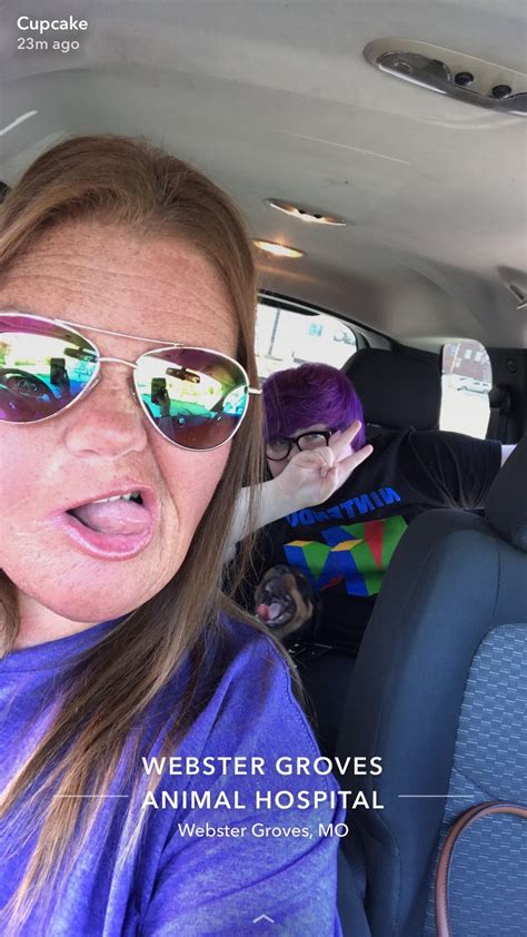 Webster Groves Animal Hospital - Saint Louis, MO 63119