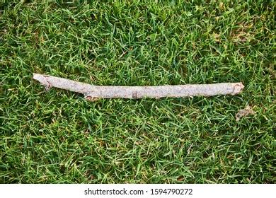Image result for Example of Multiple Bar Graph Data