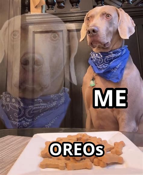 MemeTemplatesOfficial. Share and request templates!