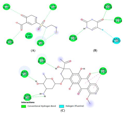 In Vitro and In Silico Cytotoxic Activity of Isocordoin from Adesmia ...