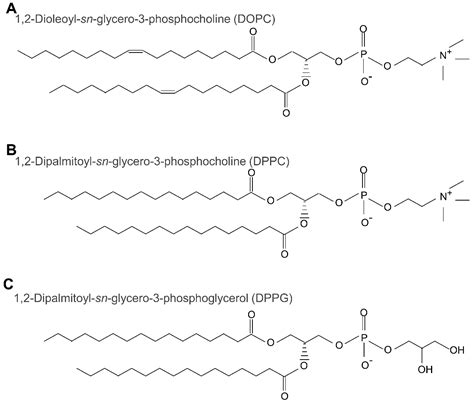 Charged Lipids Influence Phase Separation in Cell-Sized Liposomes ...