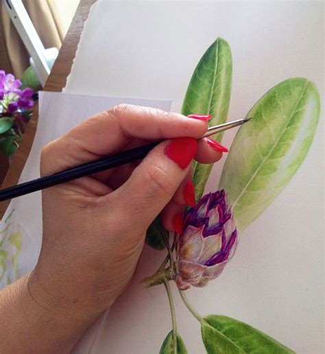 botanical illustration course