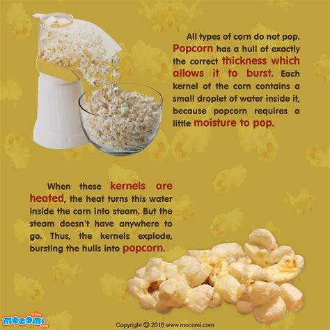 How Does Popcorn Pop
