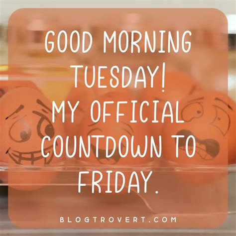 Tuesday Morning Quotes Funny