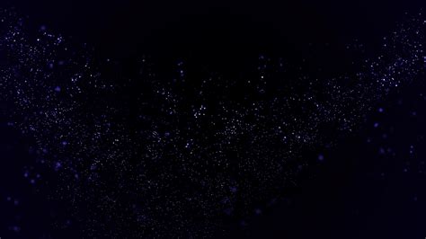 Particle Loop 的图像结果