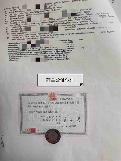 学历认证办【荷兰】Leiden毕业证成绩单 | PDF