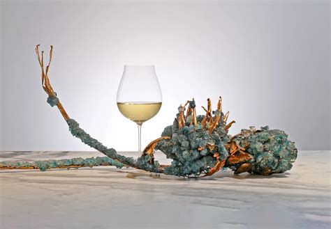 3 Top Options for Organic Wine Delivery: How to Find the Best Wines ...