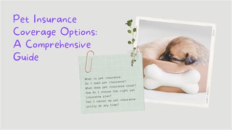 Pet Insurance Coverage Options | Trendslr