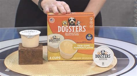 Dogsters Ice Cream Treats – Coffee With America
