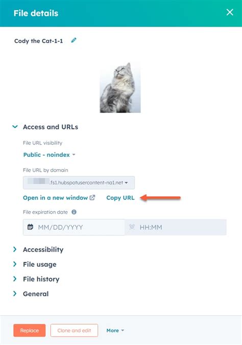 Saved URL Files 的图像结果