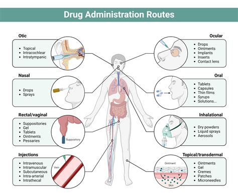 Drug Administration Routes | BioRender Science Templates