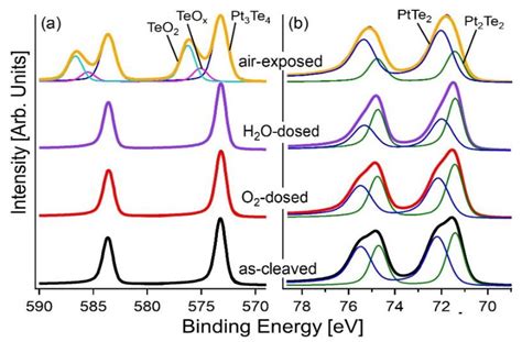 Efficient Hydrogen Evolution Reaction with Bulk and Nanostructured ...