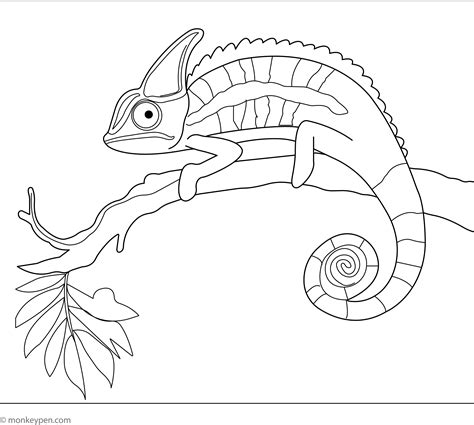 Chameleon Coloring Page
