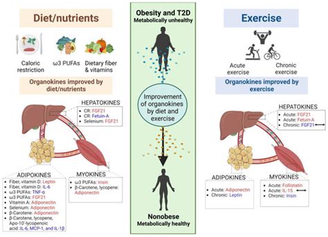 Metabolites | Special Issue : Lipid Metabolism in Obesity and Diabetes 2023