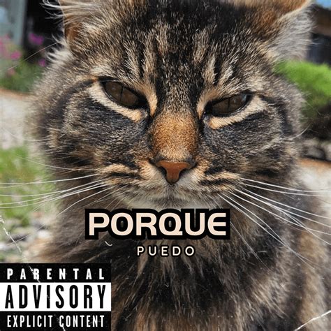 I sort my music on spotify so I thrown album covers on each playlist ...